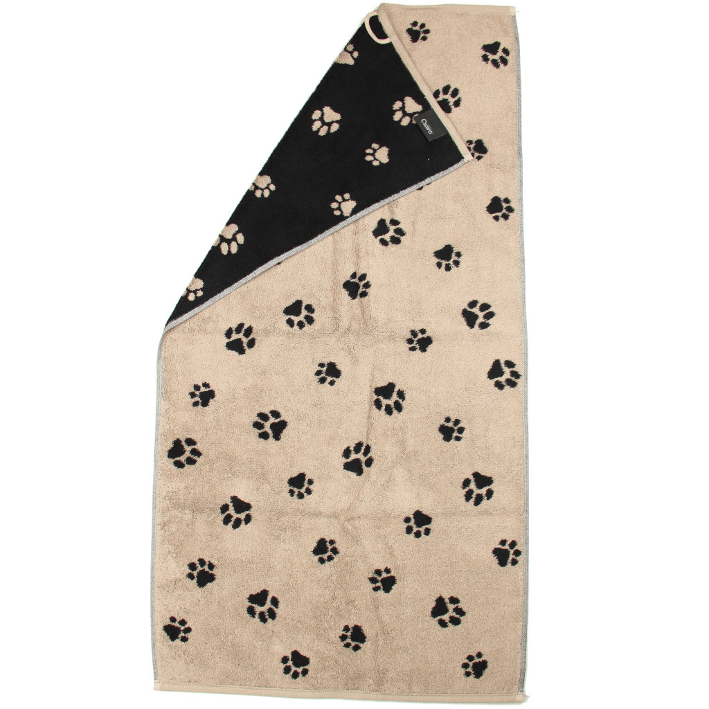 We love dogs 6247